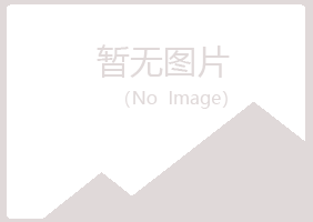 青岛崂山迷茫音乐有限公司